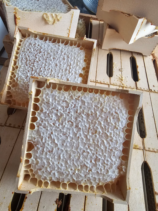 Section box comb